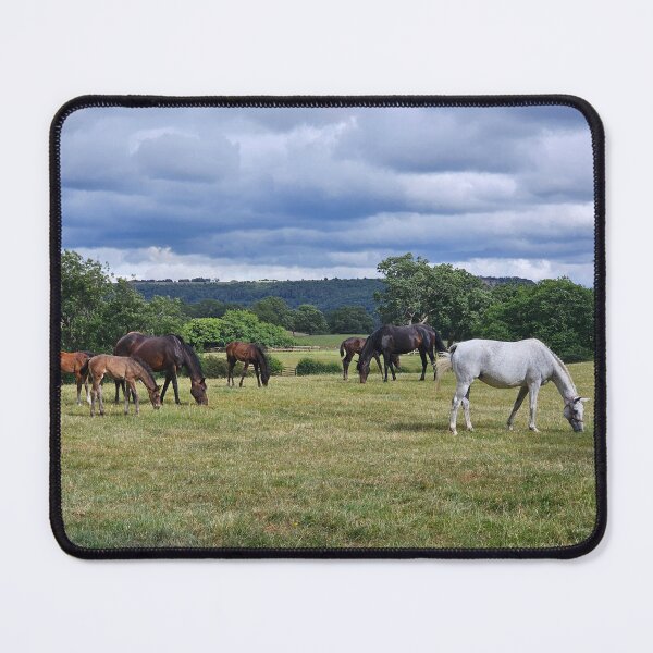 Item preview, Summer Grazing designed and sold by Kat Simmons.
