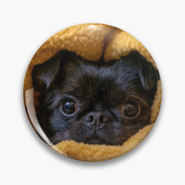 Item preview, Affenpinscher in Blanket 02 designed and sold by Elisabeth Lucas.