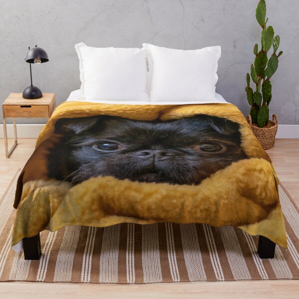 Item preview, Affenpinscher in Blanket 02 designed and sold by Elisabeth Lucas.