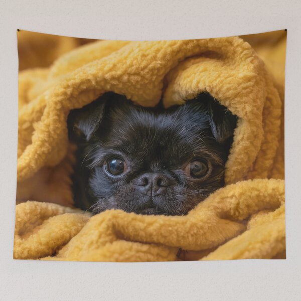 Item preview, Affenpinscher in Blanket 02 designed and sold by Elisabeth Lucas.