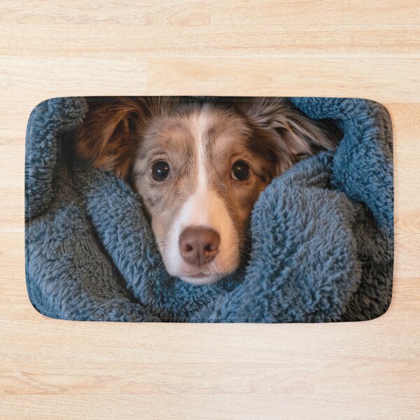 Item preview, Australian Shepherd in Blanket 01 designed and sold by Elisabeth Lucas.