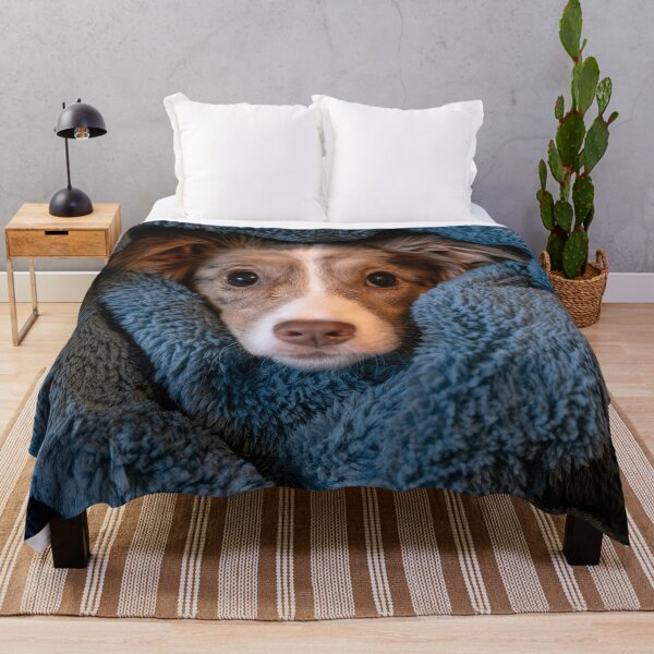 Item preview, Australian Shepherd in Blanket 01 designed and sold by Elisabeth Lucas.