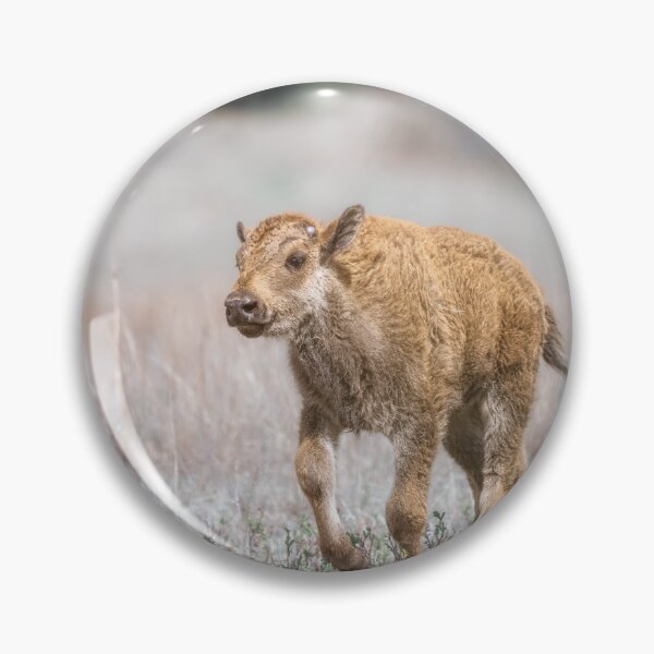 Item preview, Playful Red Dog designed and sold by PhotoArt by Joan Carroll.
