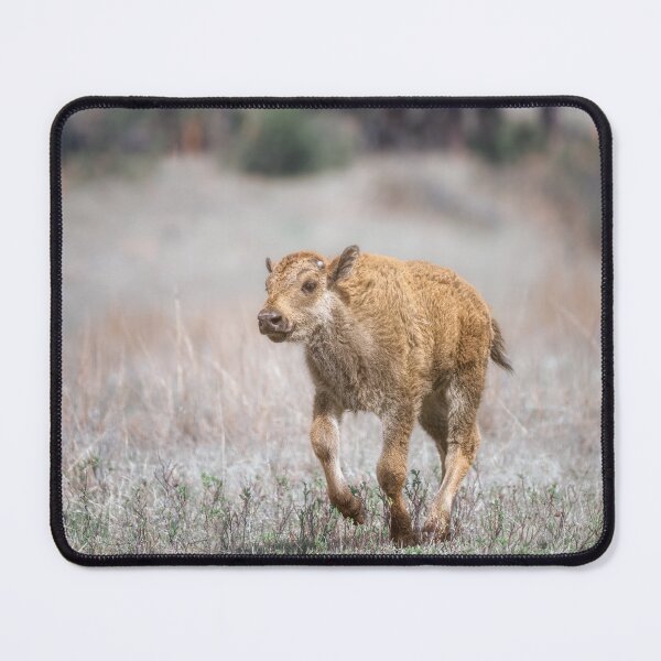 Item preview, Playful Red Dog designed and sold by PhotoArt by Joan Carroll.