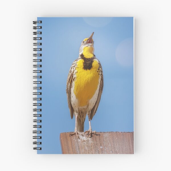 Item preview, Western Meadowlark Singing Custer State Park SD designed and sold by PhotoArt by Joan Carroll.
