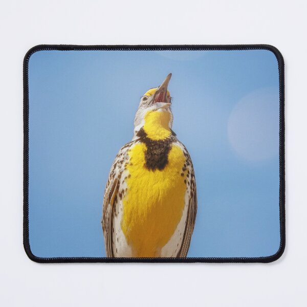 Item preview, Western Meadowlark Singing Custer State Park SD designed and sold by PhotoArt by Joan Carroll.