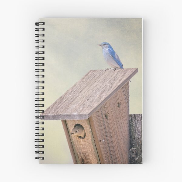 Item preview, Mountain Bluebird Custer State Park SD Artistic designed and sold by PhotoArt by Joan Carroll.