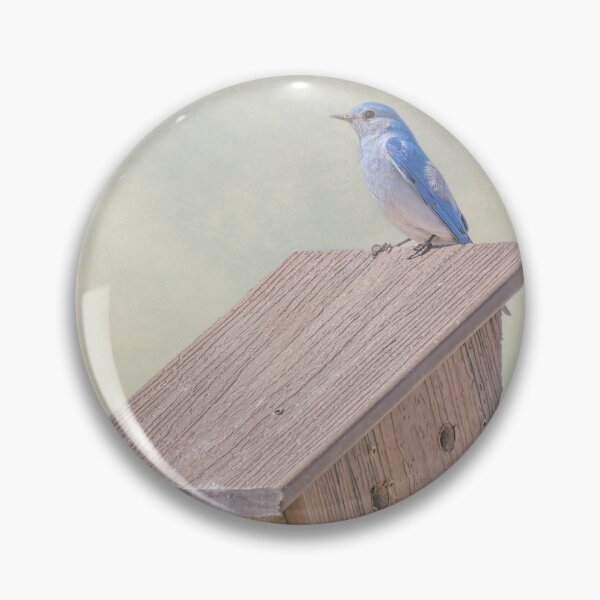 Item preview, Mountain Bluebird Custer State Park SD Artistic designed and sold by PhotoArt by Joan Carroll.