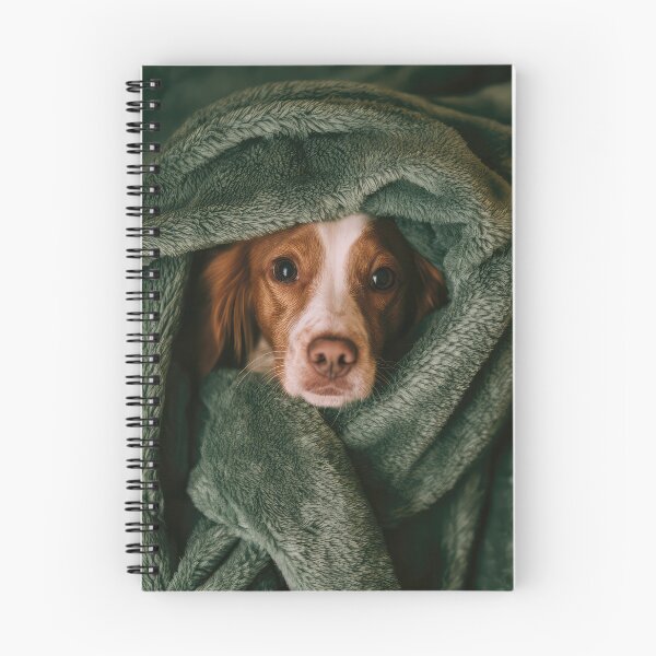 Item preview, Brittany Spaniel in Blanket 01 designed and sold by Elisabeth Lucas.