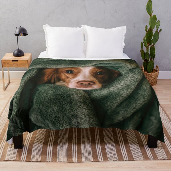 Item preview, Brittany Spaniel in Blanket 01 designed and sold by Elisabeth Lucas.
