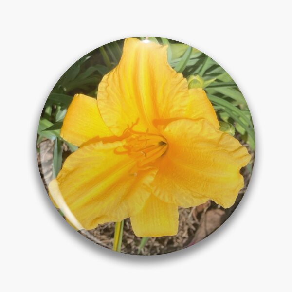 Item preview, Yellow Lilly designed and sold by Amanda1775.