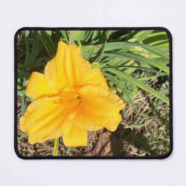 Item preview, Yellow Lilly designed and sold by Amanda1775.