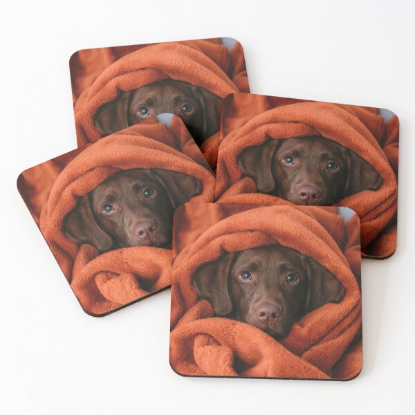 Item preview, Chocolate Lab in Blanket 01 designed and sold by Elisabeth Lucas.