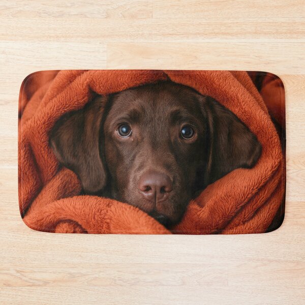 Item preview, Chocolate Lab in Blanket 01 designed and sold by Elisabeth Lucas.