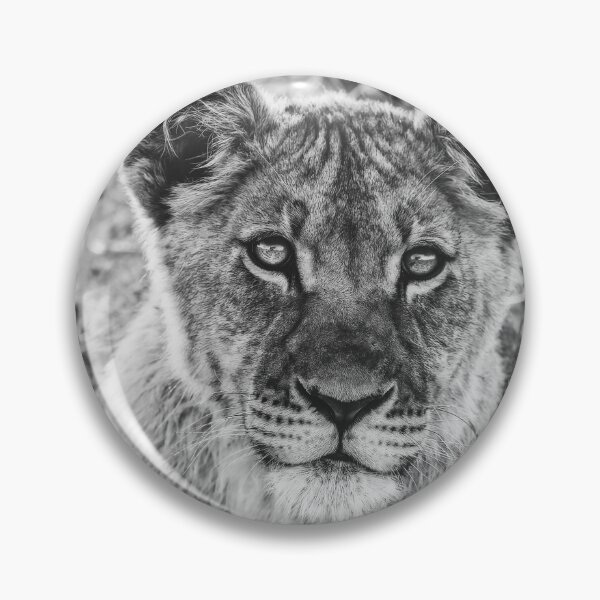 Item preview, Kalahari Lion Cub In Black and White designed and sold by Kay Brewer.