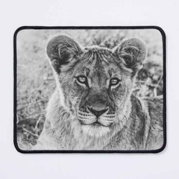 Item preview, Kalahari Lion Cub In Black and White designed and sold by Kay Brewer.