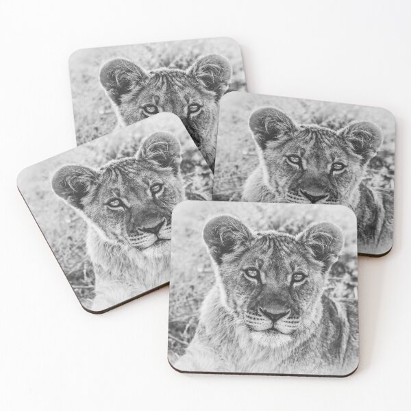 Item preview, Kalahari Lion Cub In Black and White designed and sold by Kay Brewer.