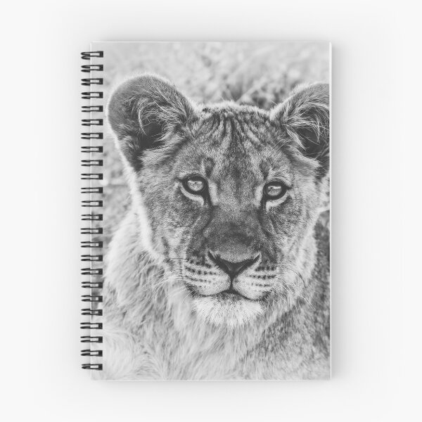 Item preview, Kalahari Lion Cub In Black and White designed and sold by Kay Brewer.