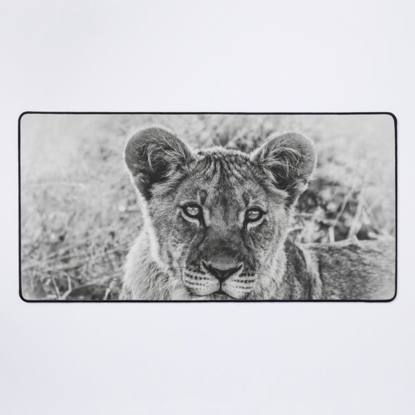 Item preview, Kalahari Lion Cub In Black and White designed and sold by Kay Brewer.