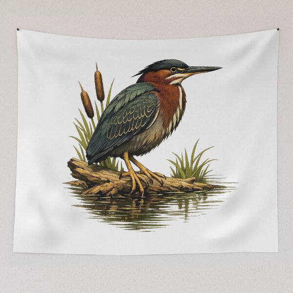 Item preview, A green heron landed on the swamp water. designed and sold by Daily Quirk.