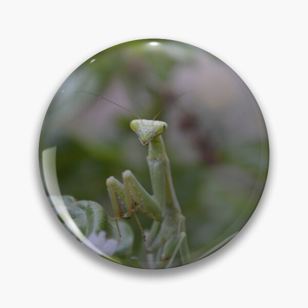 Item preview, Close Up Praying Mantis designed and sold by EmilySutin.