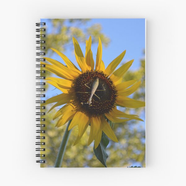 Item preview, Praying Mantis on a Sunflower designed and sold by EmilySutin.