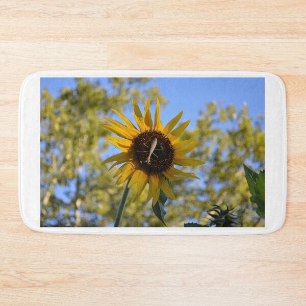 Item preview, Praying Mantis on a Sunflower designed and sold by EmilySutin.