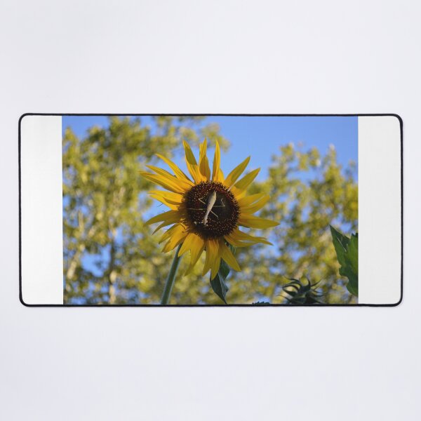 Item preview, Praying Mantis on a Sunflower designed and sold by EmilySutin.