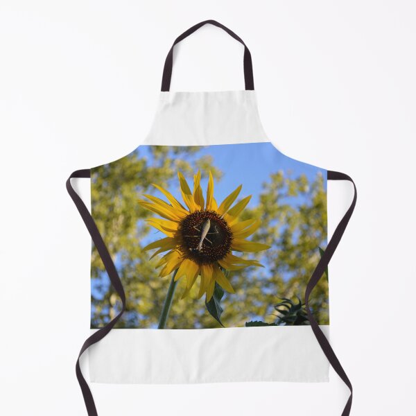 Item preview, Praying Mantis on a Sunflower designed and sold by EmilySutin.