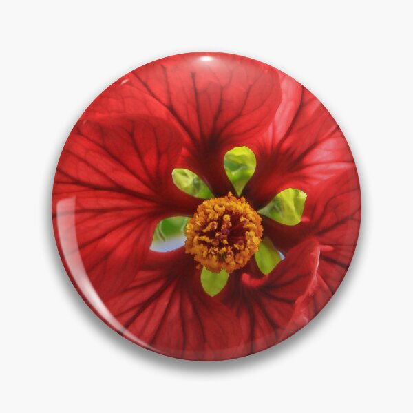 Item preview, I Am Looking At You! designed and sold by heatherfriedman.