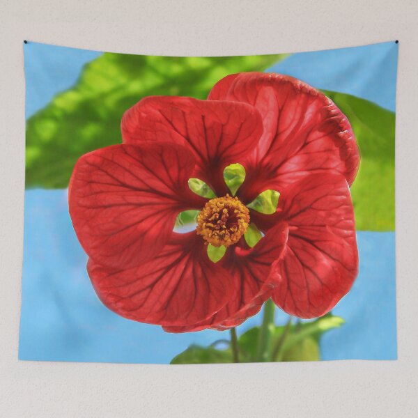 Item preview, ¡Te estoy mirando! designed and sold by heatherfriedman.