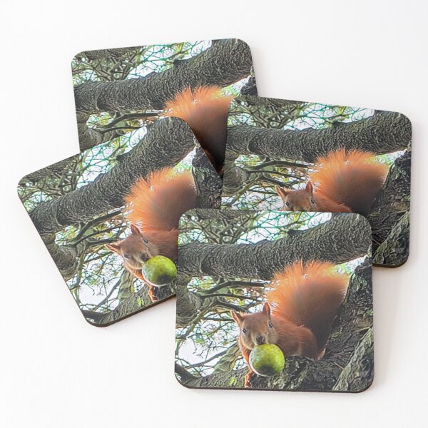 Item preview, Funny Squirrel with Walnut Tree Wildlife Photo designed and sold by JurateArt-DK.