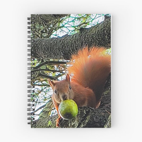 Item preview, Funny Squirrel with Walnut Tree Wildlife Photo designed and sold by JurateArt-DK.