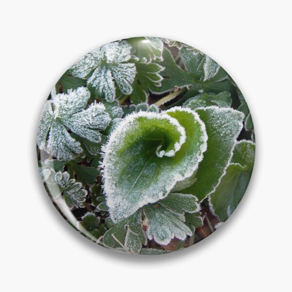 Item preview, Mid March Frost on Lawn designed and sold by gistinker.