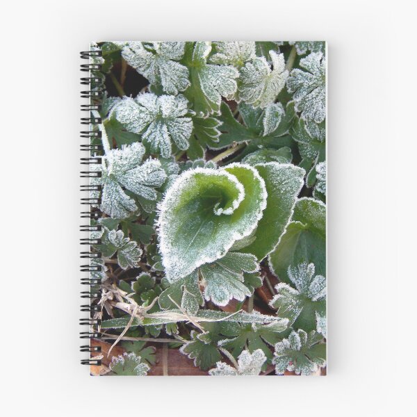 Item preview, Mid March Frost on Lawn designed and sold by gistinker.