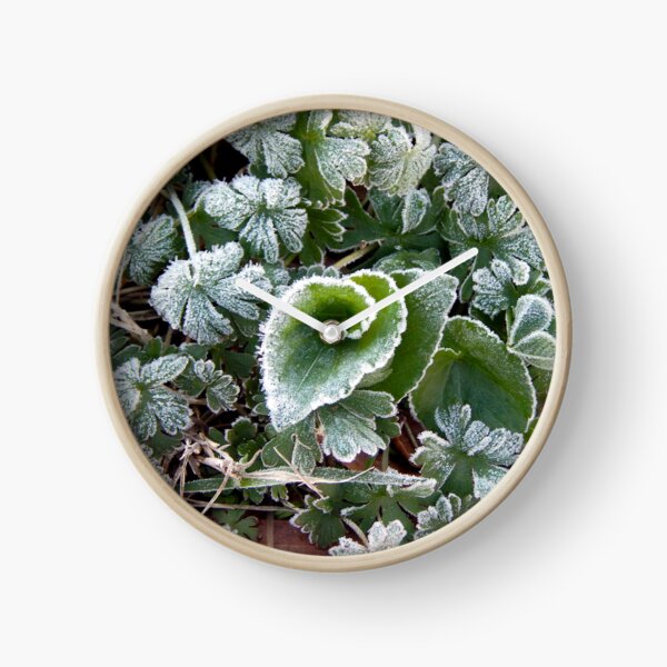 Artikelvorschau, Mitte März Frost auf dem Rasen entworfen und verkauft von gistinker.