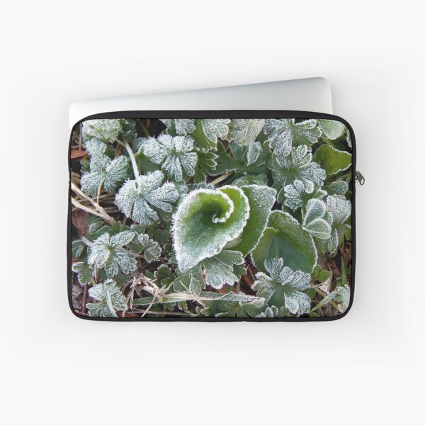 Item preview, Mid March Frost on Lawn designed and sold by gistinker.