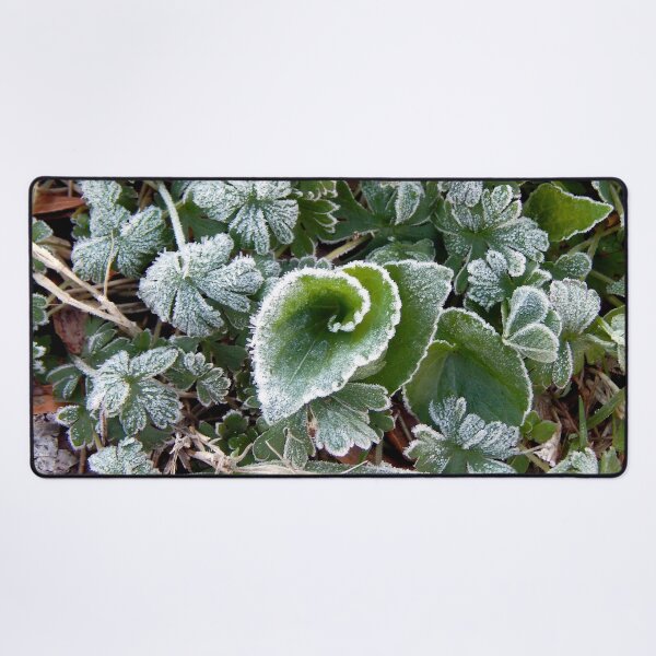 Item preview, Mid March Frost on Lawn designed and sold by gistinker.