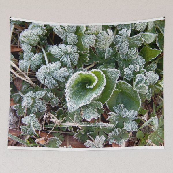 Item preview, Mid March Frost on Lawn designed and sold by gistinker.