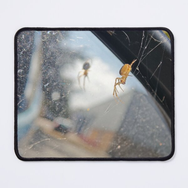 Item preview, Spider Looking At Herself In Mirror designed and sold by BornToBeWyld.