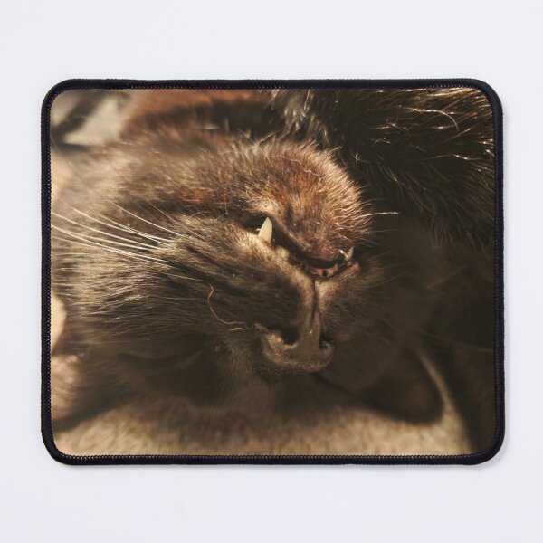 Item preview, Black Cat Teef designed and sold by BornToBeWyld.