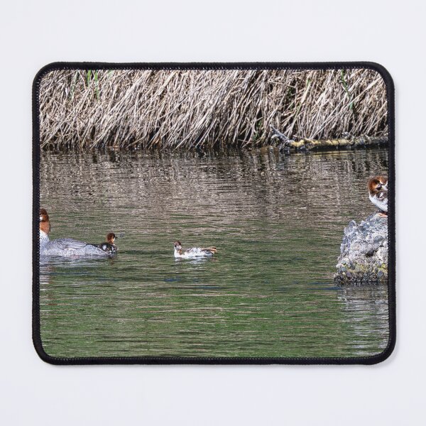 Item preview, The Water is Fine designed and sold by DawsonImages.