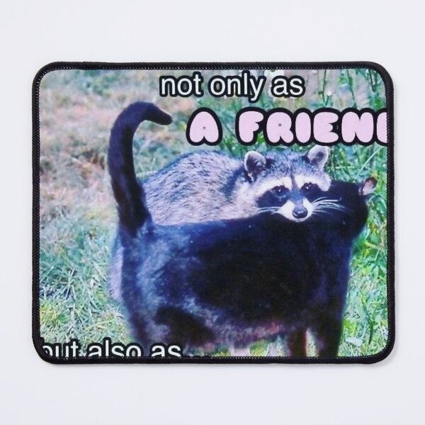 Item preview, Racoon Meme I hope you see me not only as a friend but also as a threat designed and sold by MaikSankts.