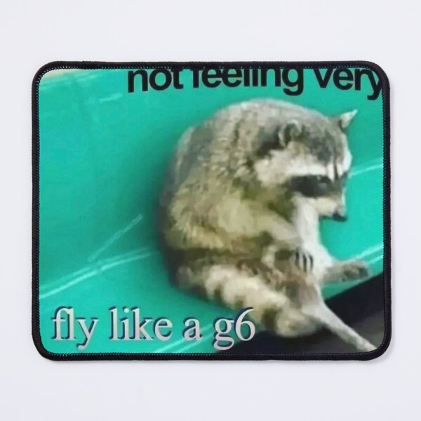 Item preview, Racoon Meme not feeling very fly like a G6 designed and sold by MaikSankts.