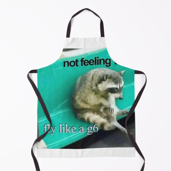 Item preview, Racoon Meme not feeling very fly like a G6 designed and sold by MaikSankts.