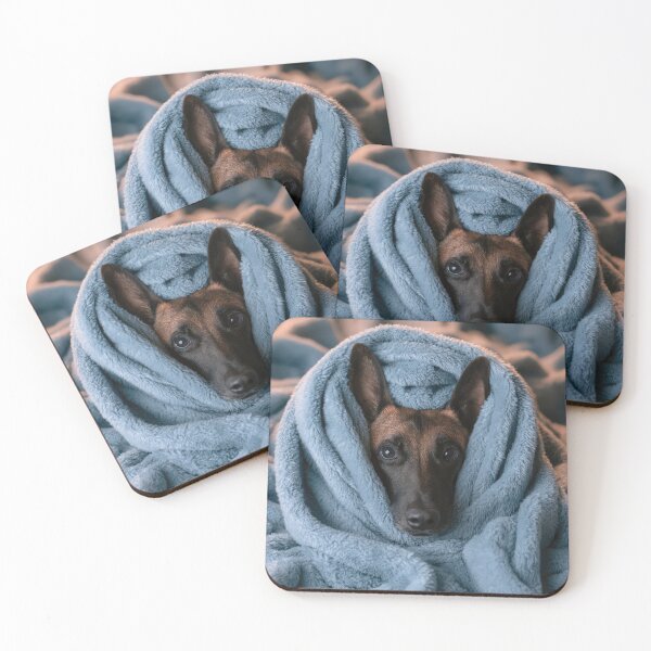 Item preview, Belgian Malinois in Blanket 01 designed and sold by Elisabeth Lucas.