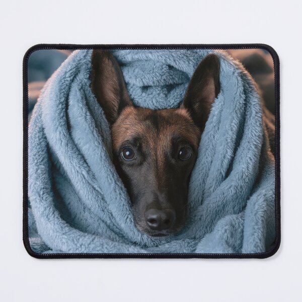 Item preview, Belgian Malinois in Blanket 01 designed and sold by Elisabeth Lucas.