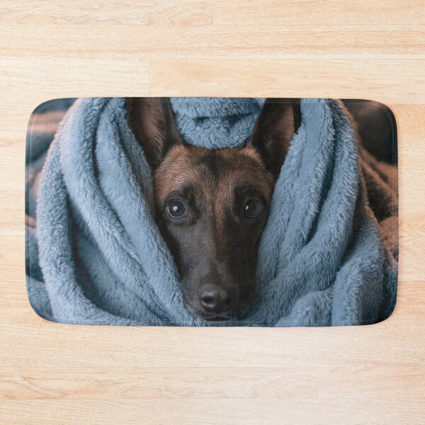 Item preview, Belgian Malinois in Blanket 01 designed and sold by Elisabeth Lucas.