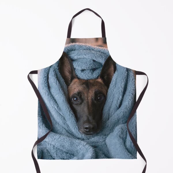 Item preview, Belgian Malinois in Blanket 01 designed and sold by Elisabeth Lucas.