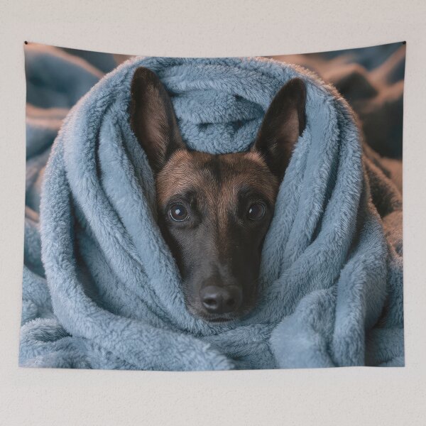 Item preview, Belgian Malinois in Blanket 01 designed and sold by Elisabeth Lucas.